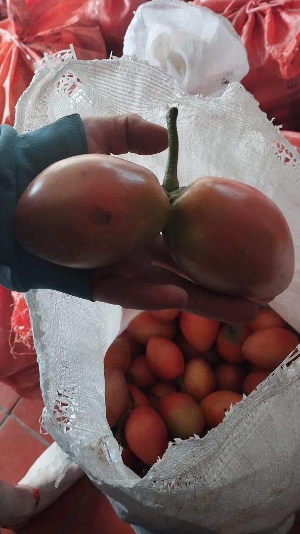 Tomate De Arbol Extra