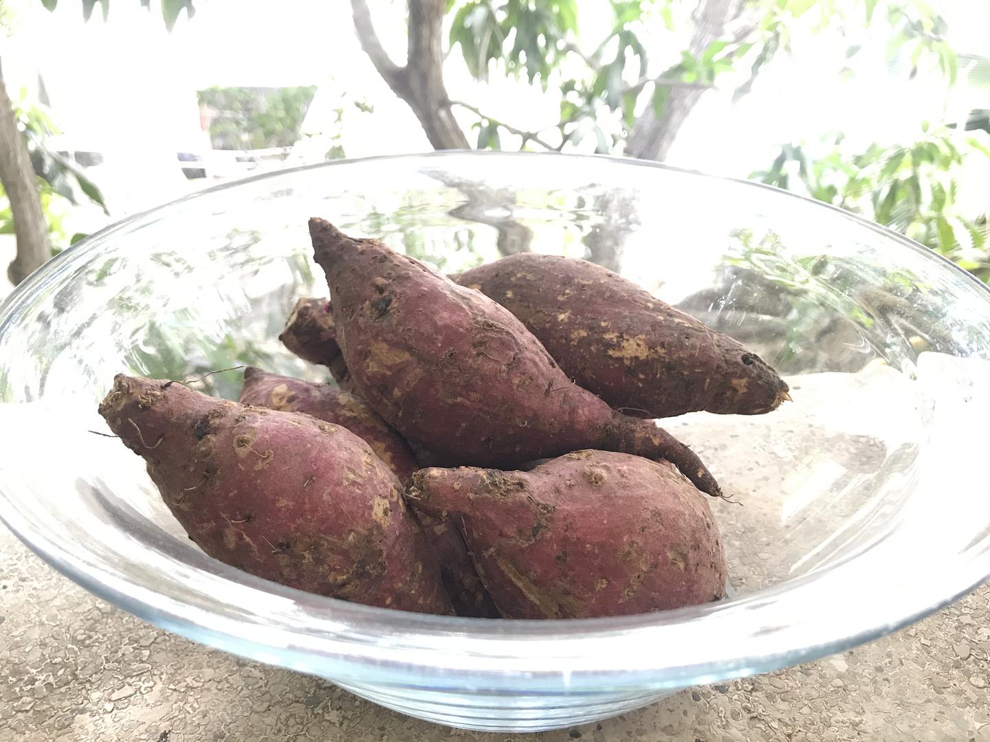 Batata Camote O Sweet Potato