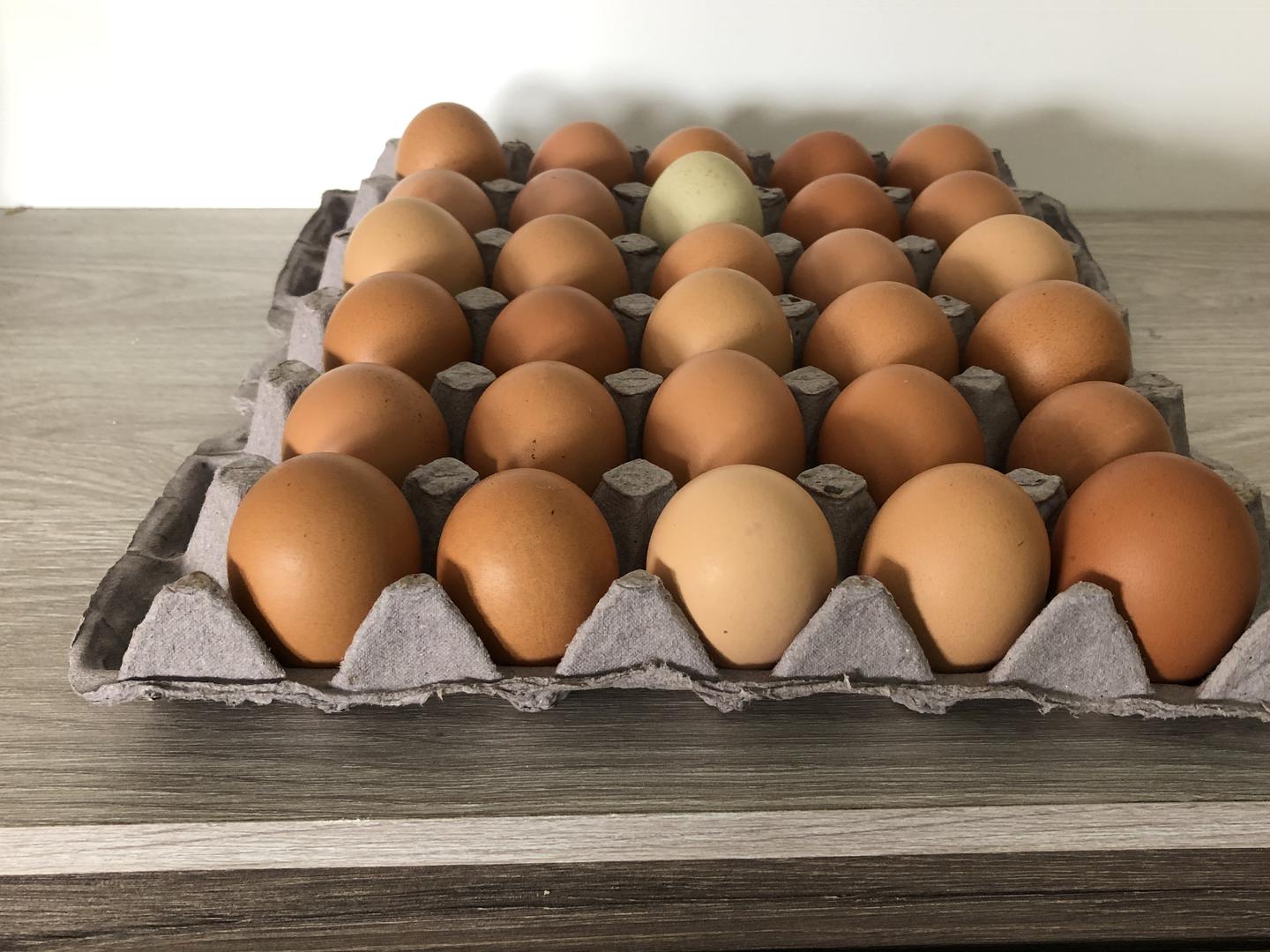 Huevos De Gallina Feliz
