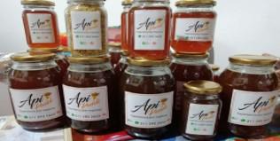 Miel De Abejas Apipandi