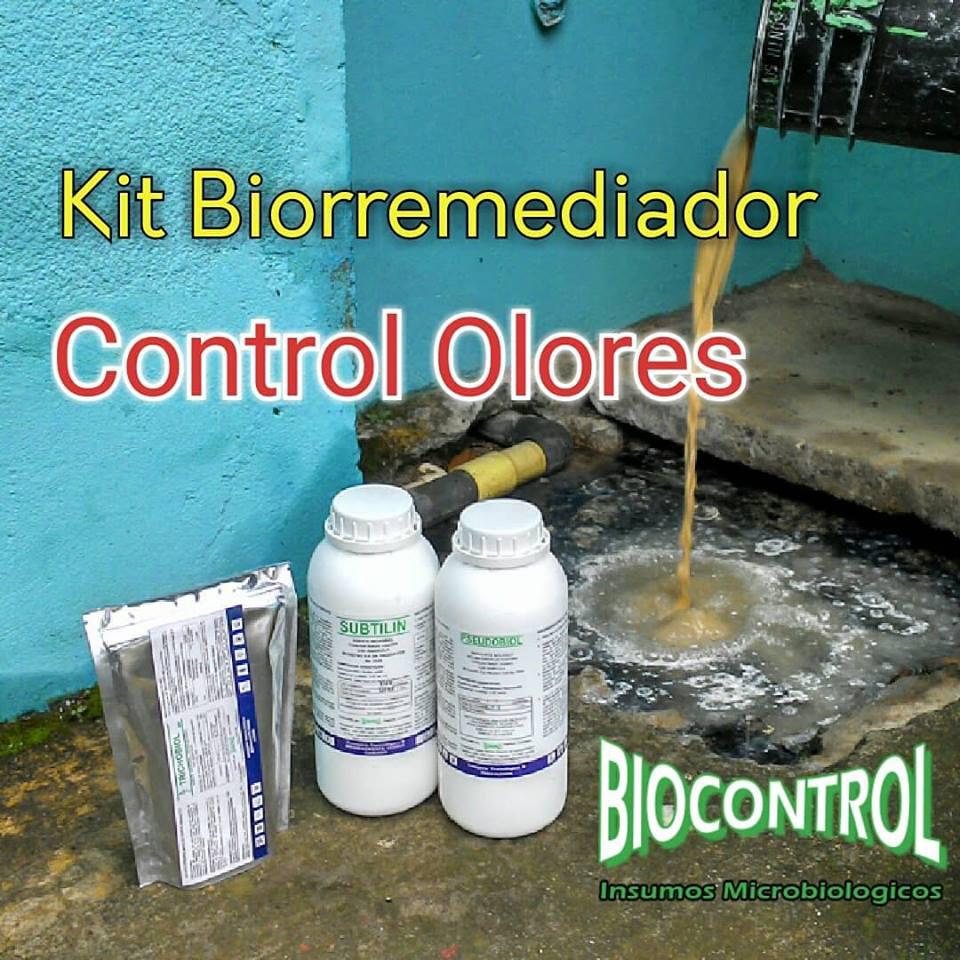 Kit Biorremediador