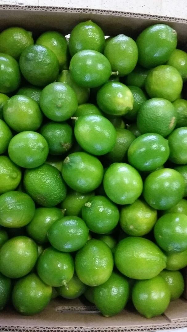Limon Tahiti