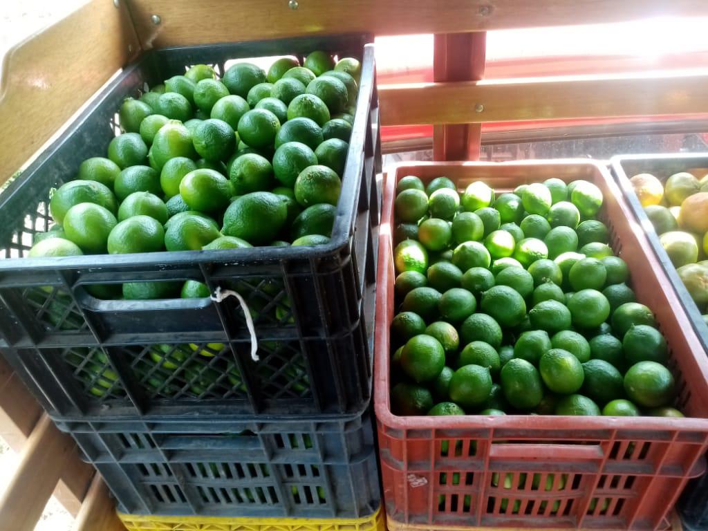 Limon Tahiti