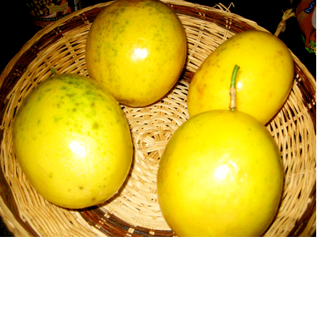 Maracuya