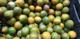 Limon Mandarino