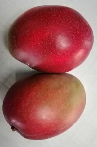 Mango Tommy Canastilla 23 Kilos
