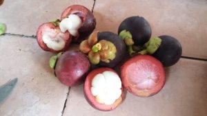 Mangostino