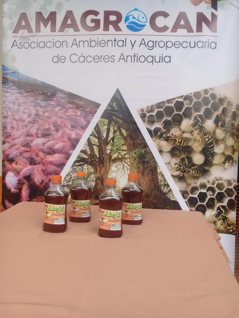 Miel De Abeja Presentacion Botella De 500 Gramos