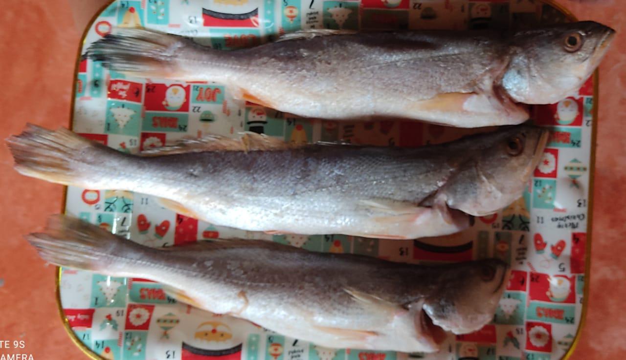 Pescado Marino Varias Especies