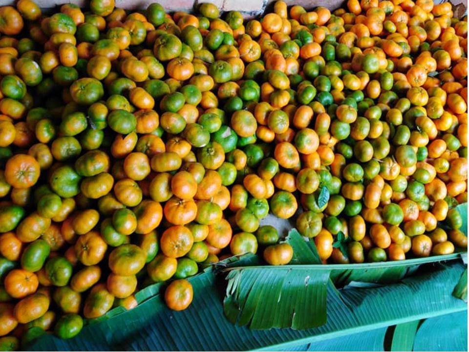 Mandarina Dulce Y Jugosa Variedad Arrayana Por Canastilla De 22 Kg