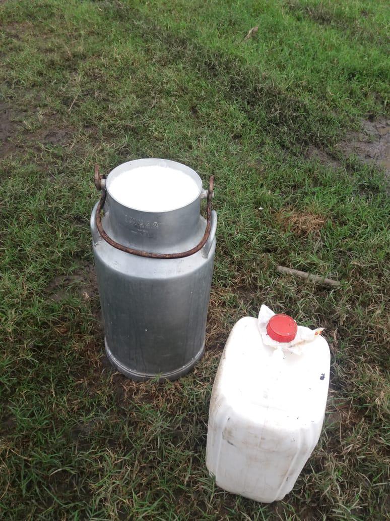 Leche De Vaca Y Bufala Fresca
