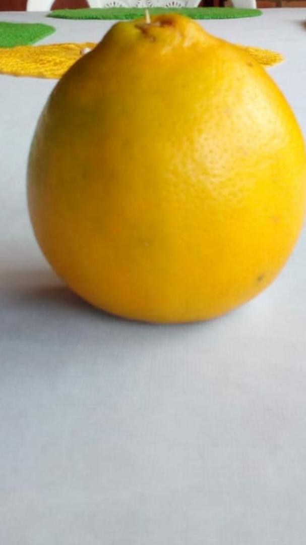 Naranja Variedad Tangelo Presentacion En Canastilla Por 20 Kilogramos