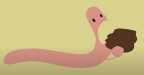 Pie De Cria De Lombriz Roja Californiana Lombrices En Tierra