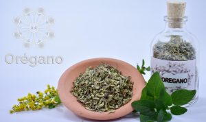 Oregano