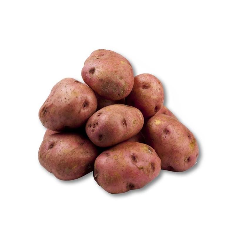 Papa Pastusa