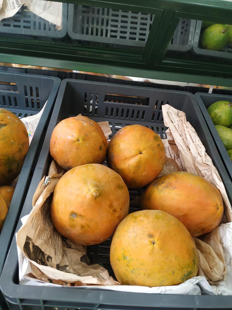 Papaya