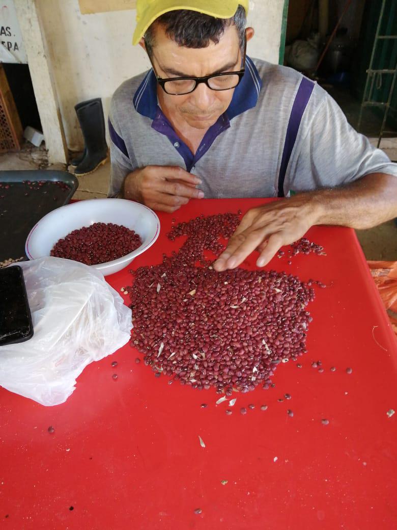 Frijol Rojo Cuarentano