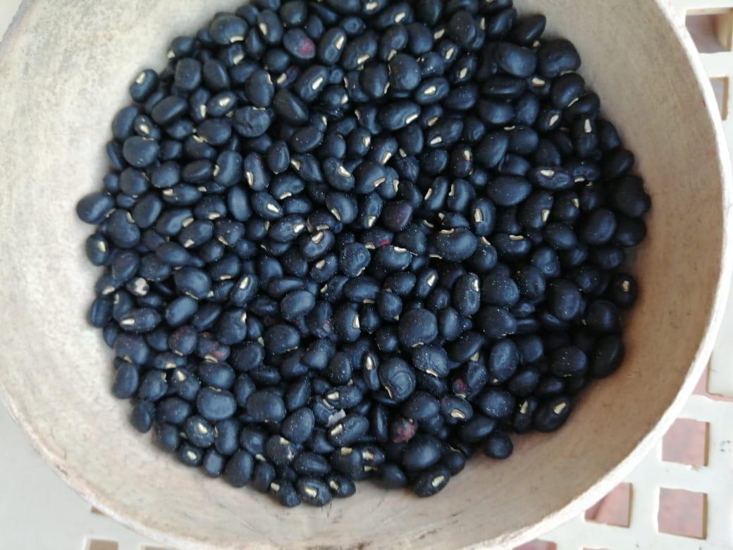 Frijol Negro