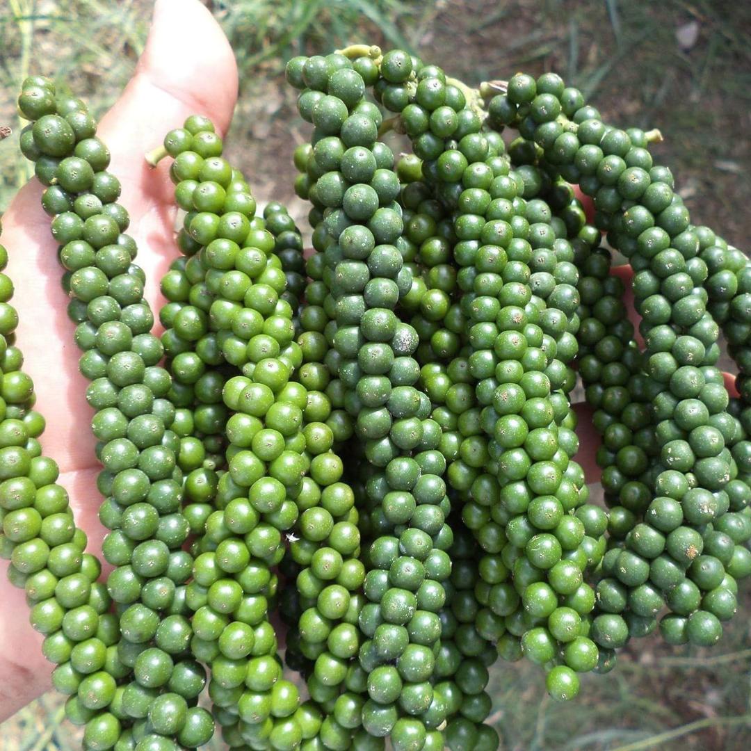 Pimienta Negra Blanca