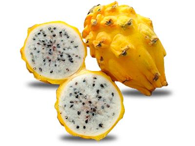 Pitaya Orsella