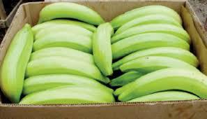 Platano Verde