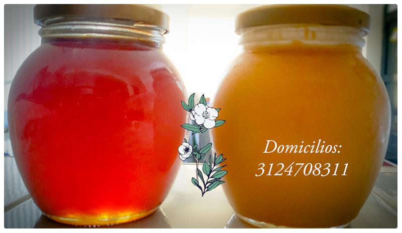 Miel De Abejas Apis Mellifera