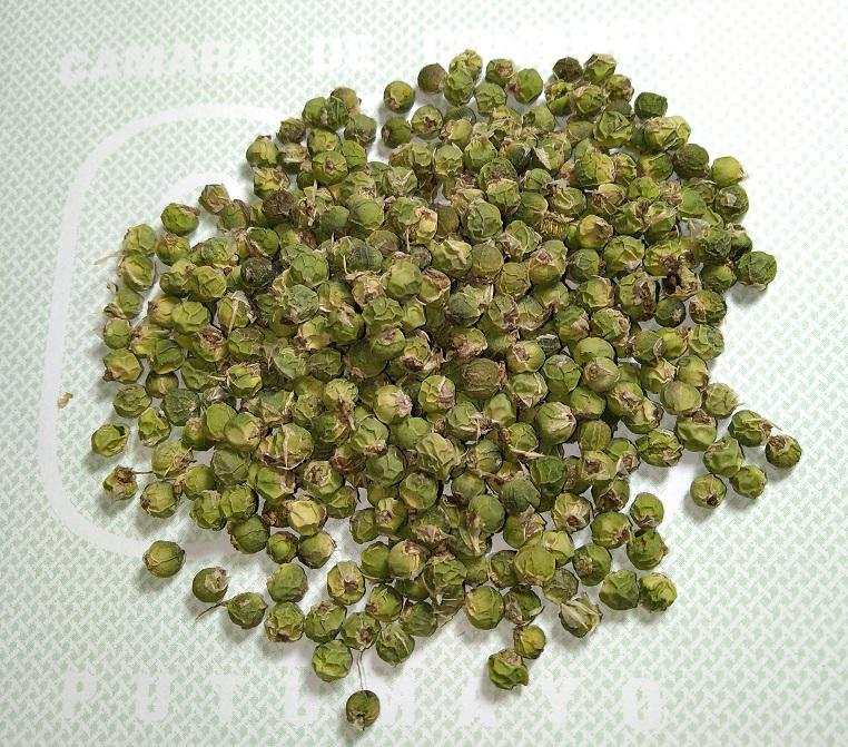 Pimienta Verde