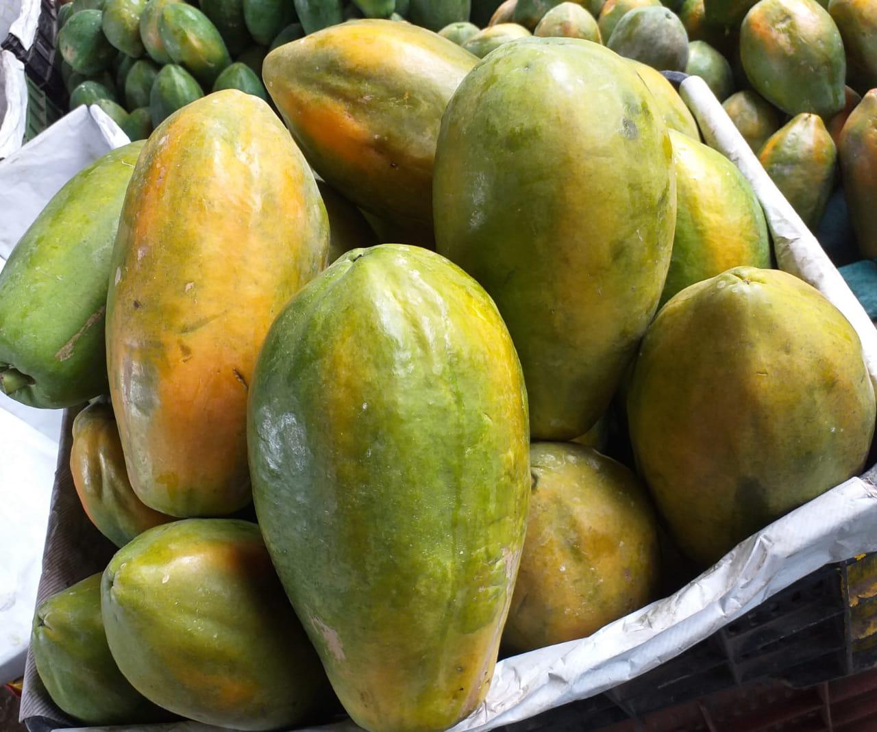 Papaya Maradol