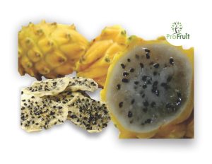 Pitahaya Deshidratada