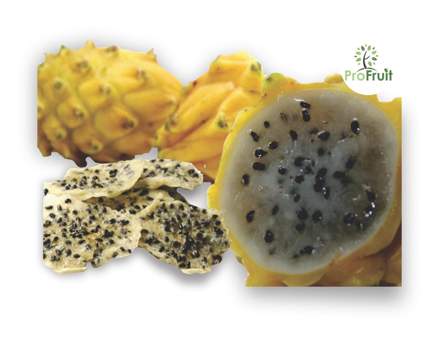 Pitahaya Deshidratada