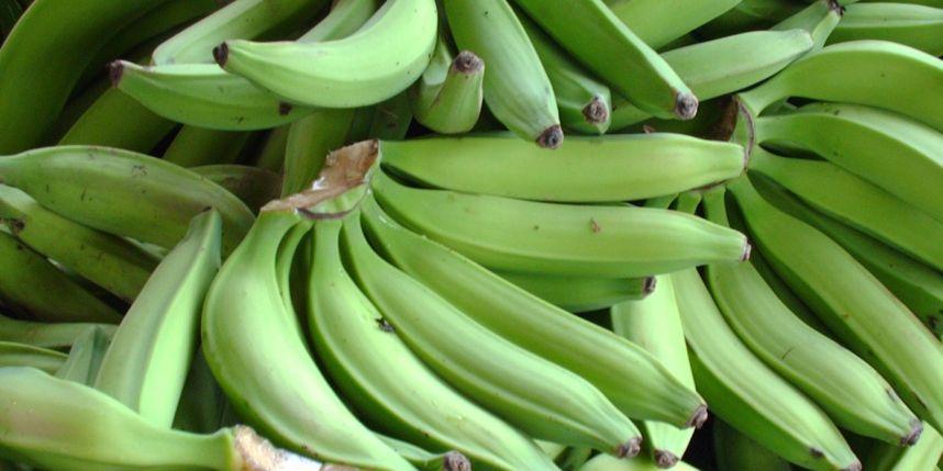 Platano