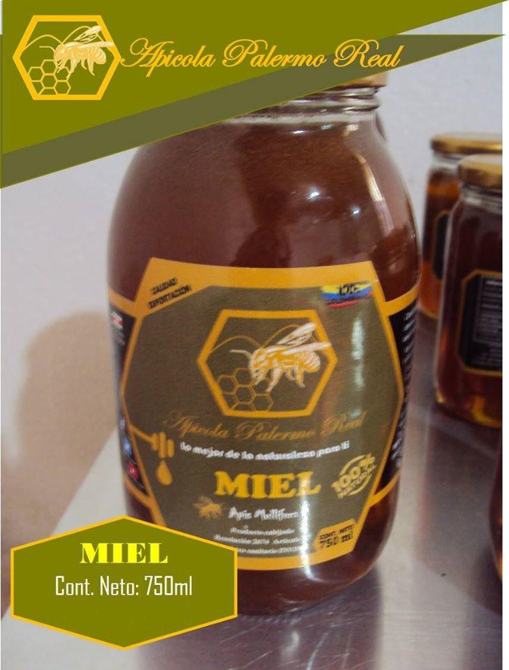Miel De Abejas Apicola Palermo Real 750 Ml