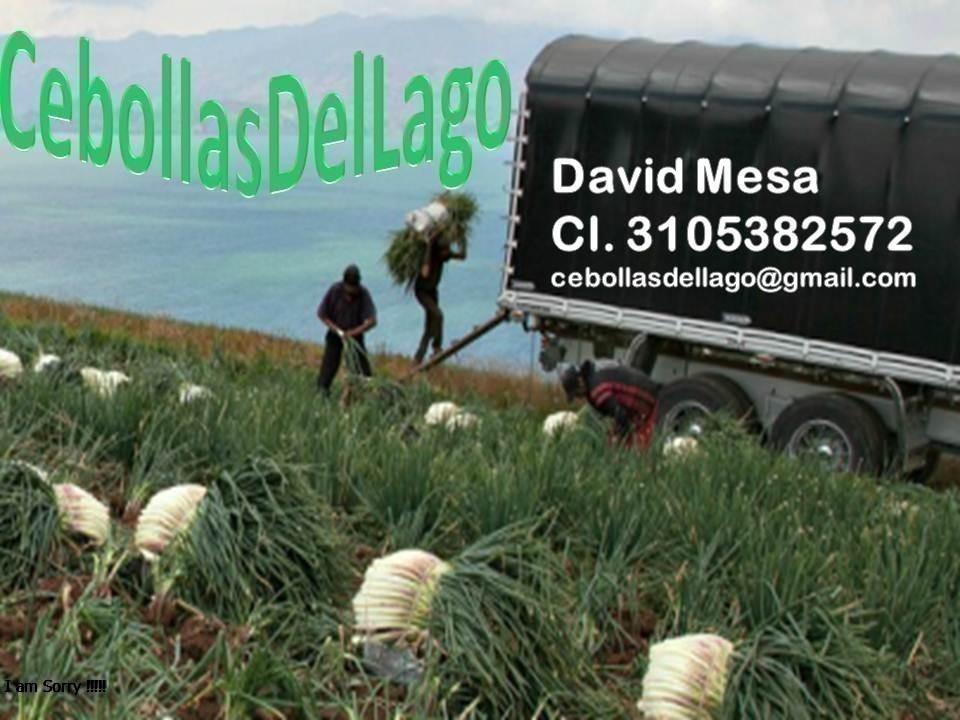Cebollasdellago