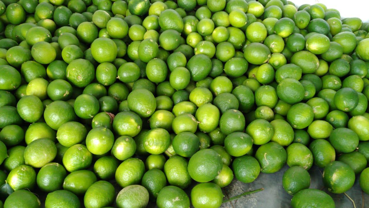 Lima Acida Tahiti