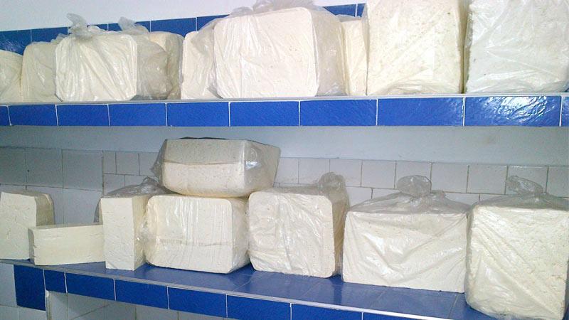 Fabricacion De Quesos