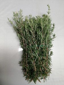 Romero Atado Fresco Por 500 Gm