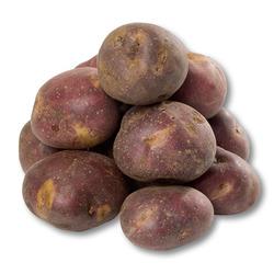 Papa Sabanera