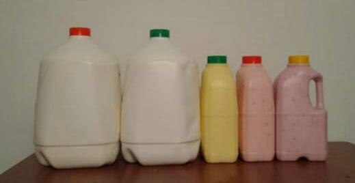 Yogurth De Frutas Artesanal