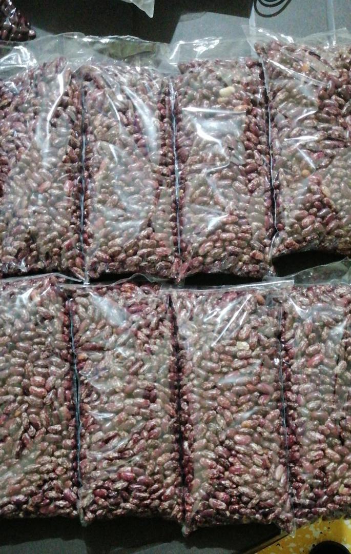 Frijol Biofortificado