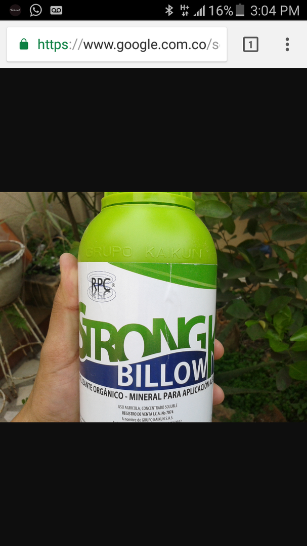 Strong Billow K