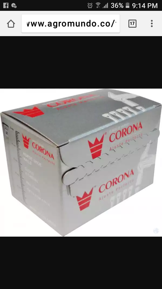 Clavo Para Herrar Corona7