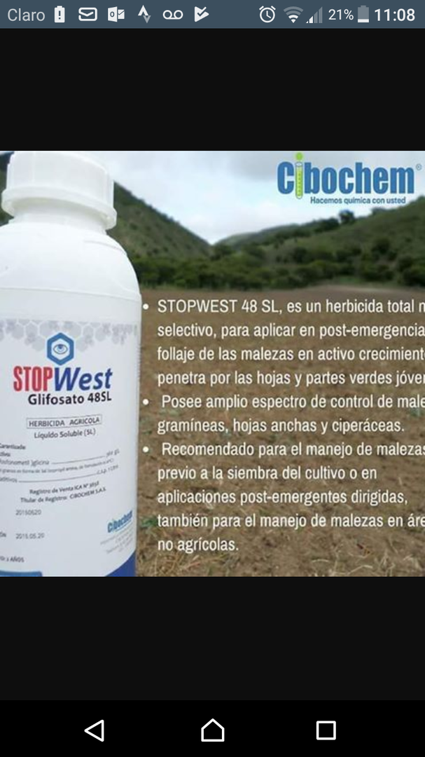 Glifosato