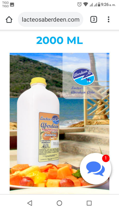 Yogurt Natural Con Probioticos Sabores Frutales