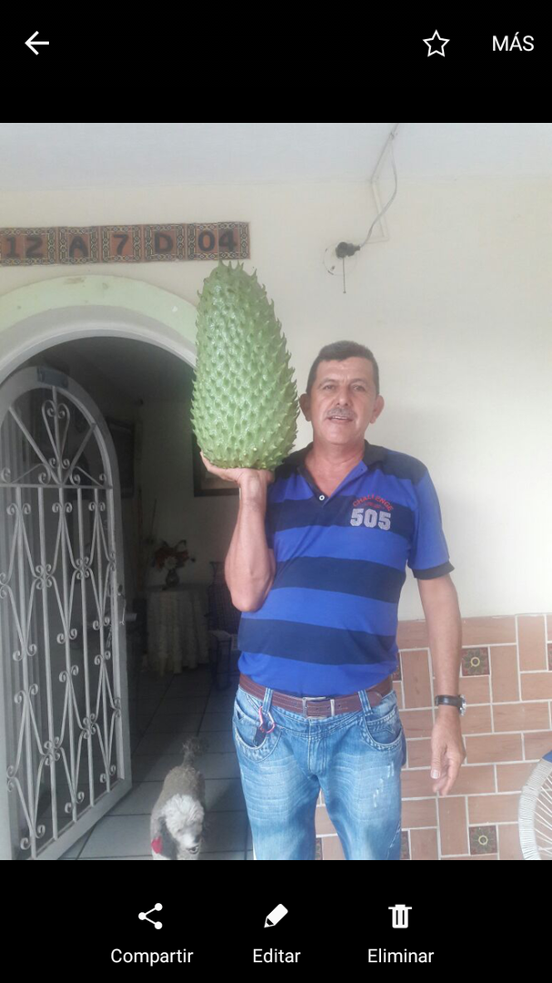 Guanabana