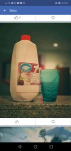 Yogurt Artesanal 100 Natural Fruta Deshidratada