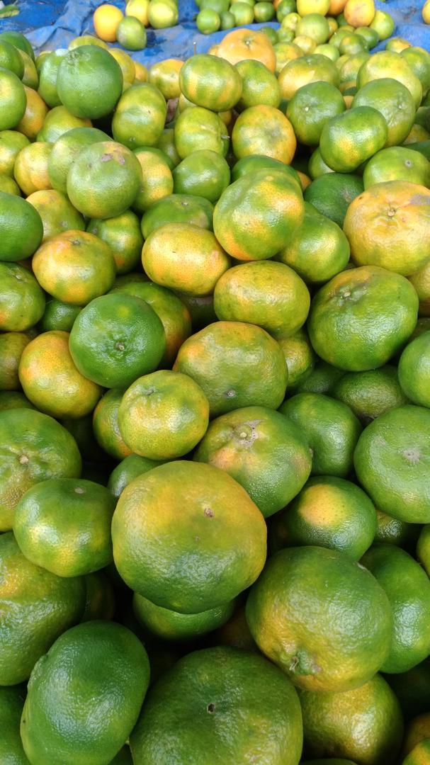 Mandarina Arrayana