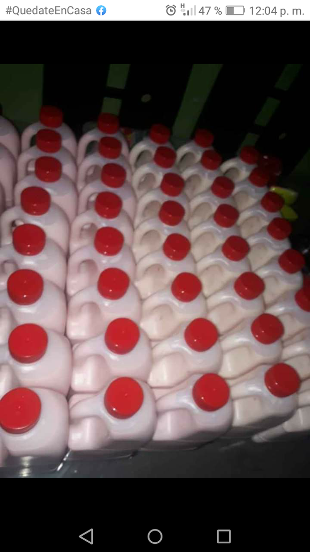 Yogurt Natural