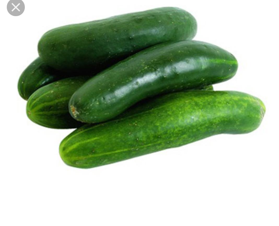 Pepino Cohombro