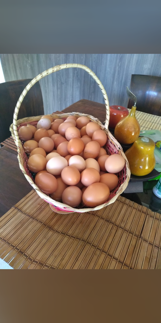 Huevos Campesinos De Gallinas Libres
