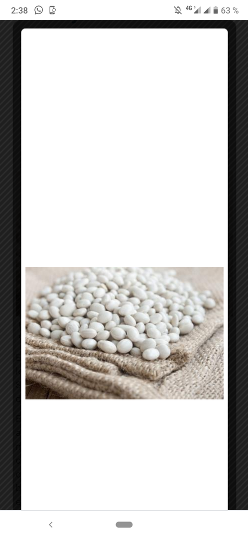 Frijol Poroto O Bolon Blanco